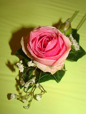 DSC02883.jpg